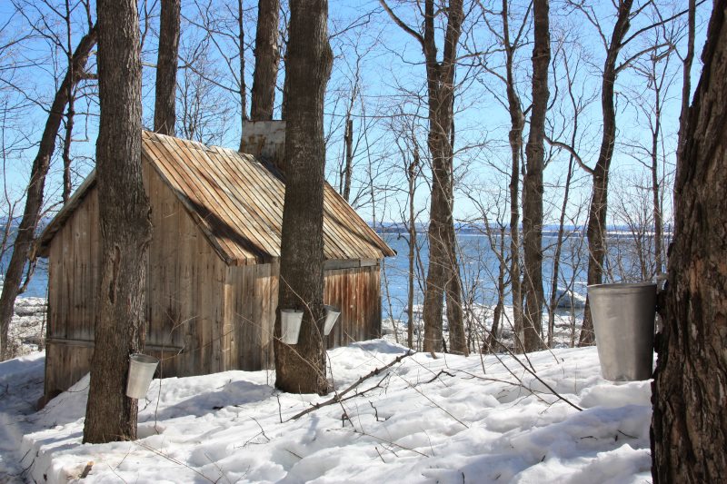 Point Carniel Lodge, Region Surroundings